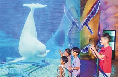 水族馆都卖什么（水族箱造景比赛报名方式水族馆会员服务有哪些） 水族馆百科（水族馆加盟） 第5张