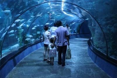 水族馆一般用英语怎么说（aquarium,水族馆互动体验有哪些） 水族馆百科（水族馆加盟） 第5张