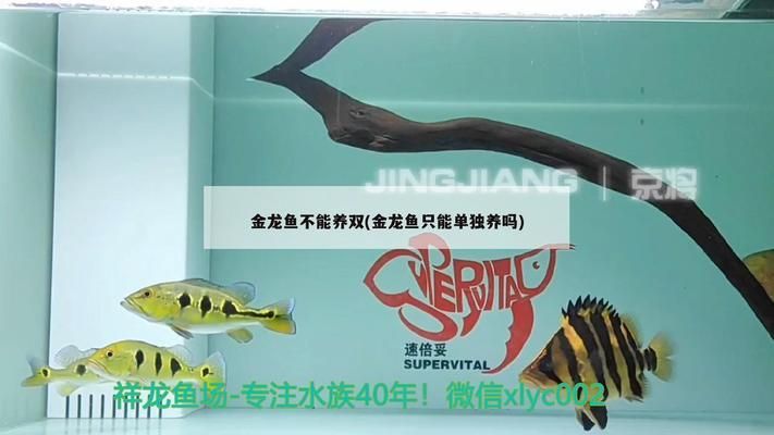 水族馆店面装修效果图（关于水族馆店面装修的一些详细信息） 水族馆百科（水族馆加盟） 第4张