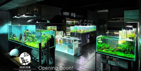 水族馆店面装修效果图（关于水族馆店面装修的一些详细信息） 水族馆百科（水族馆加盟） 第5张