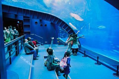 中国水族馆排名（中国水族馆排名，北京海洋馆位居榜首） 水族馆百科（水族馆加盟） 第5张