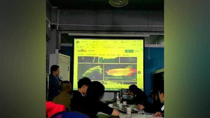 龙鱼知识讲座（关于龙鱼饲养的知识讲座） 龙鱼百科 第2张