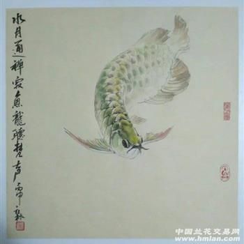 龙鱼装饰画没有水好不好（龙鱼装饰画是否适合放在没有水的环境下） 龙鱼百科 第3张