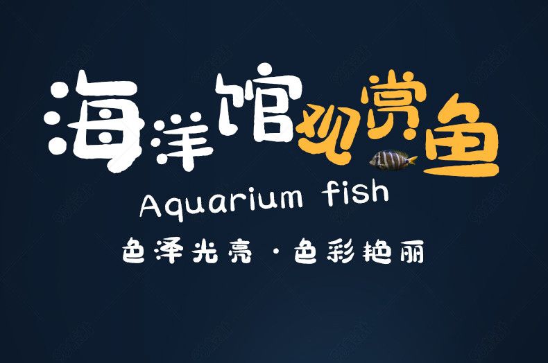 水族馆鱼缸多层制作（多层鱼缸分隔材料选择技巧，鱼缸多层结构的稳定性增强方法） 水族馆百科（水族馆加盟） 第4张