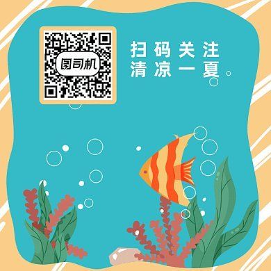 水族馆鱼缸多层制作（多层鱼缸分隔材料选择技巧，鱼缸多层结构的稳定性增强方法） 水族馆百科（水族馆加盟） 第1张