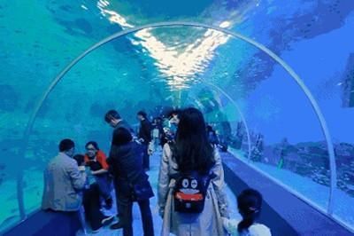 全国最好的水族馆（全国最好的水族馆——北京海洋馆） 水族馆百科（水族馆加盟） 第5张