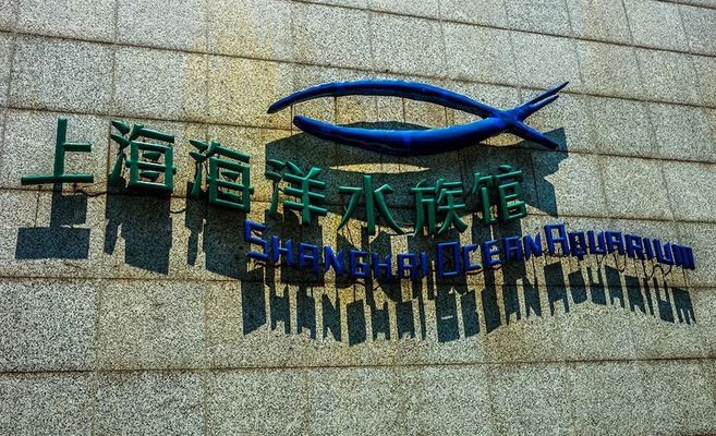 水族馆门票图片高清（水族馆入场券图片高清详情） 水族馆百科（水族馆加盟） 第4张