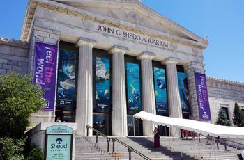 水族馆门票图片高清（水族馆入场券图片高清详情） 水族馆百科（水族馆加盟） 第3张