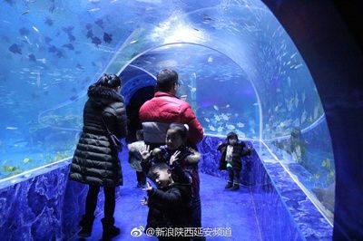 投资一个水族馆要多少钱（开设一个水族馆所需的投资成本和经营策略） 水族馆百科（水族馆加盟） 第1张