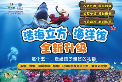 开一家水族馆要收多少税费（开一家水族馆需要支付的税费包括营业执照费、卫生许可证费等） 水族馆百科（水族馆加盟） 第5张