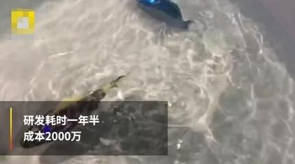 水族馆工作需要什么证（水族师资格认证考试内容,潜水证培训课程介绍） 水族馆百科（水族馆加盟） 第3张