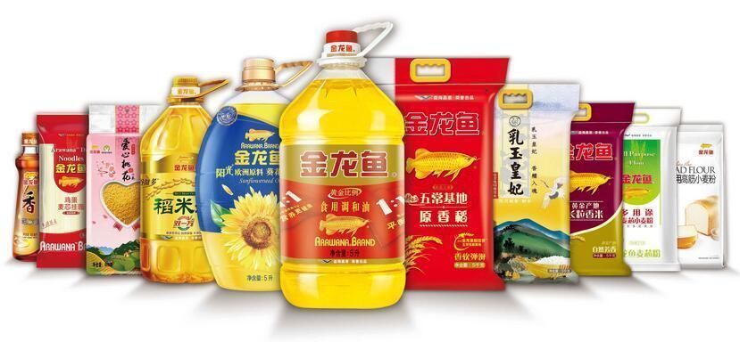 金龙鱼的品牌文化是什么（品金龙鱼品牌文化） 龙鱼百科 第2张