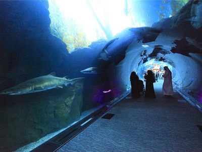 水族馆怎么说用英语（水族馆是什么意思） 水族馆百科（水族馆加盟） 第3张