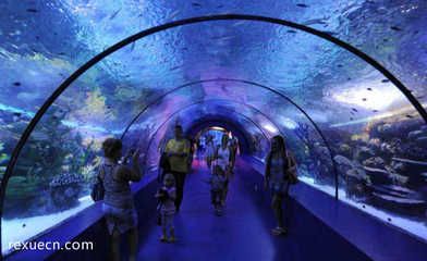 国内水族馆排名（2024年国内水族馆排名） 水族馆百科（水族馆加盟） 第4张