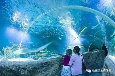 如何经营一家水族馆（水族馆的营销策略） 水族馆百科（水族馆加盟） 第5张