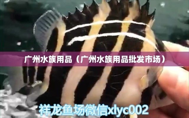 水族馆去哪里拿货便宜（成都天华农副产品批发市场） 水族馆百科（水族馆加盟） 第1张