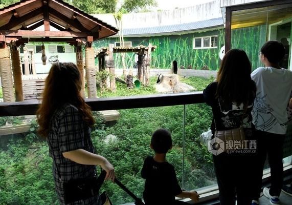 水族馆几点关门（关于水族馆的关闭时间） 水族馆百科（水族馆加盟） 第2张