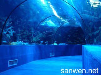 水族馆作文400字（《水族馆之旅》一走进水族馆，仿佛进入一个神秘的海洋世界） 水族馆百科（水族馆加盟） 第5张