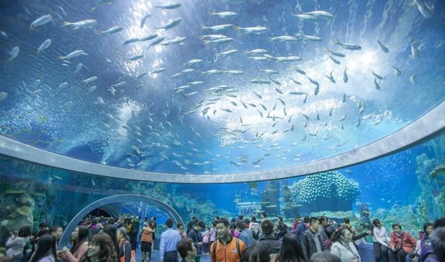 水族馆大全500种（bbc地球频道水族馆专题介绍水族馆大全500种详情介绍）