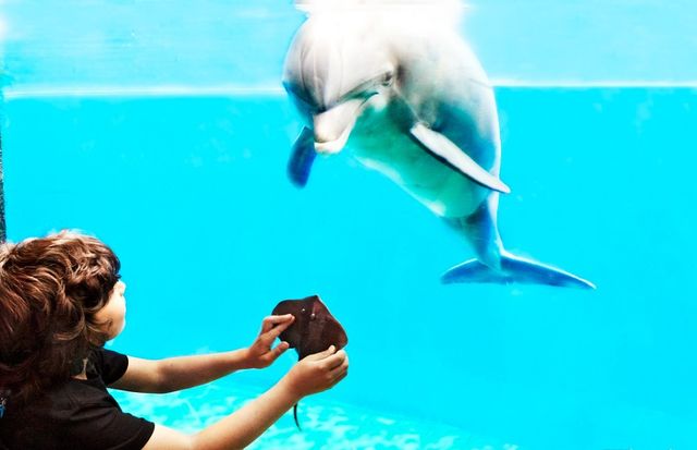 水族馆大全500种（bbc地球频道水族馆专题介绍水族馆大全500种详情介绍）