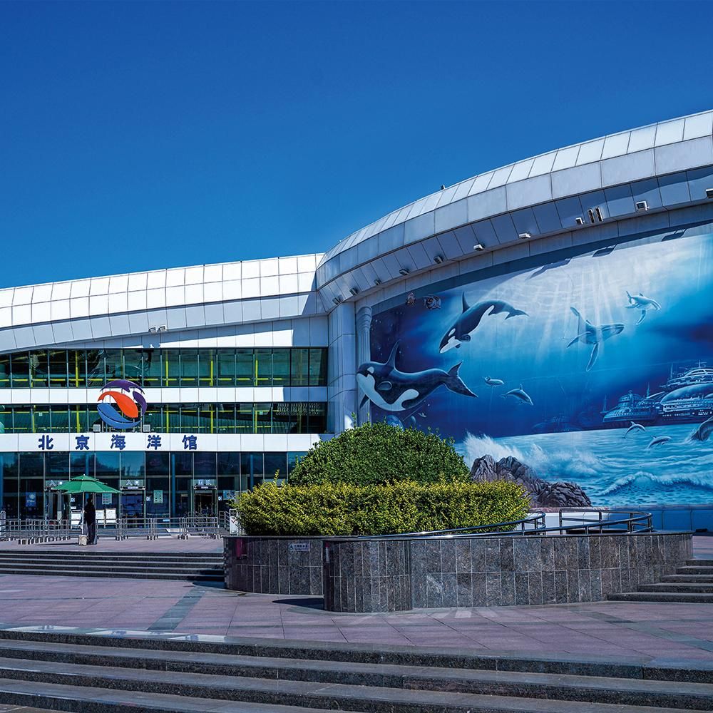 水族馆价格表（上海海洋水族馆价格表）