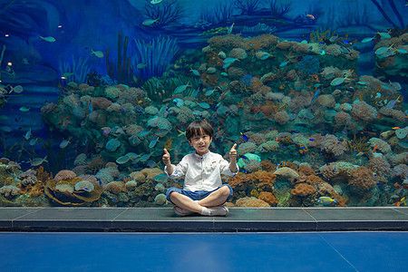 水族馆店铺照片真实高清（上海海洋水族馆）