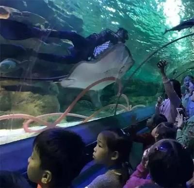 水族馆工资高吗（水族馆饲养员工作机会多吗）