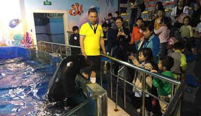 水族馆工资高吗（水族馆饲养员工作机会多吗） 水族馆百科（水族馆加盟） 第3张