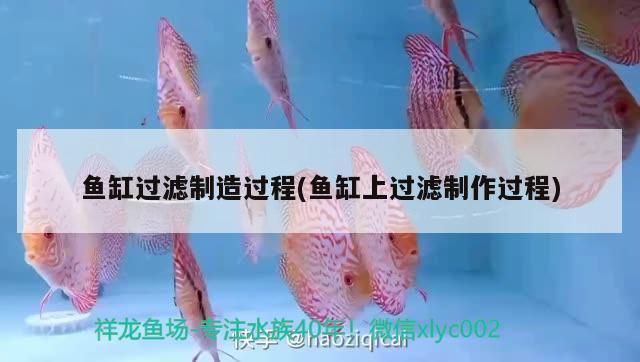 水族馆在哪里有卖的（水族馆的产品） 水族馆百科（水族馆加盟） 第3张