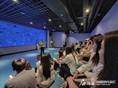 水族馆面积（世界十大水族馆排名更新水族馆面积与生物多样性之间的关系） 水族馆百科（水族馆加盟） 第2张