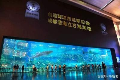 水族馆面积（世界十大水族馆排名更新水族馆面积与生物多样性之间的关系） 水族馆百科（水族馆加盟） 第5张