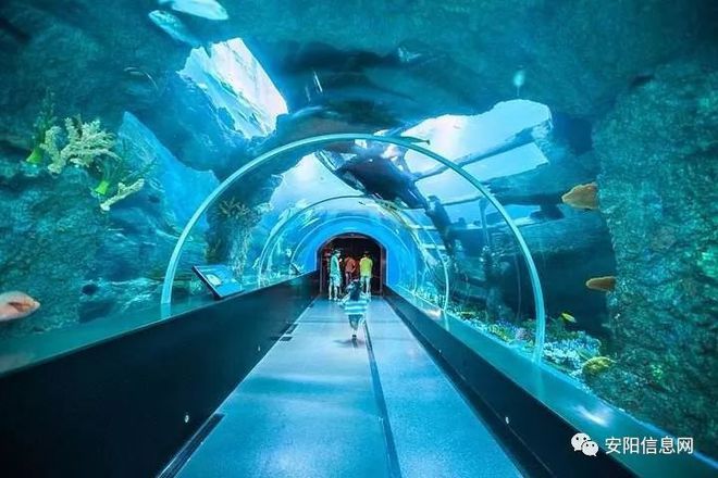 水族馆面积（世界十大水族馆排名更新水族馆面积与生物多样性之间的关系） 水族馆百科（水族馆加盟） 第3张