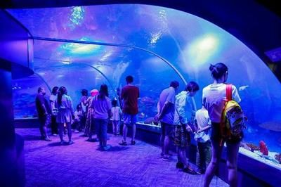 水族馆的定义（水族馆是一个专门用于展览水生生态保护、教育公众、推动科学研究的基地） 水族馆百科（水族馆加盟） 第5张