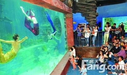 开一个水族馆需要什么手续呢（水族馆设计装修要点）