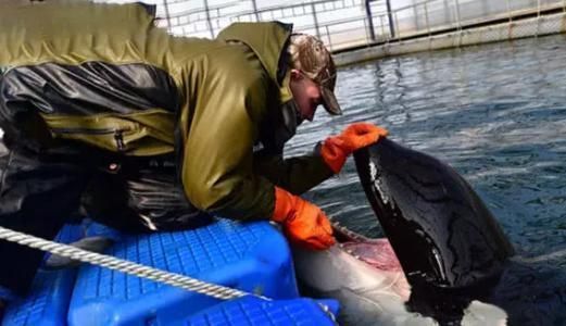 开个水族馆的艰难经历怎么写（如何写开个水族馆的艰难经历） 水族馆百科（水族馆加盟） 第4张