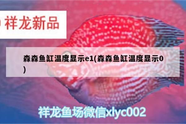 森森鱼缸加热棒显示e1什么原因（森森鱼缸加热棒显示e1） 鱼缸百科 第5张