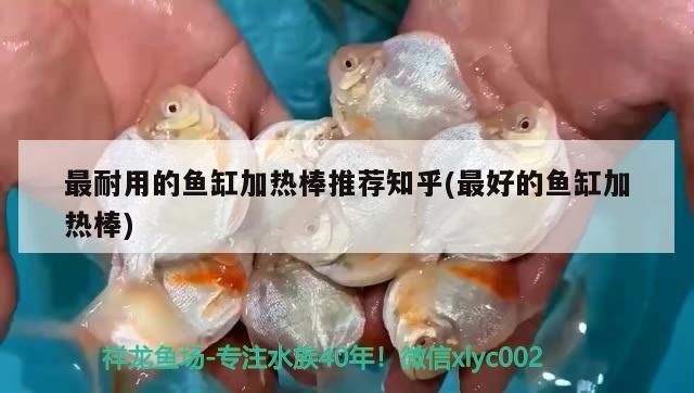 鱼缸加热棒排名（鱼缸加热棒品牌及其特点鱼缸加热棒功率选择指南） 鱼缸百科 第1张