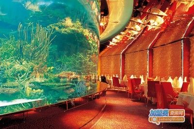 水族馆加盟条件及费用多少钱啊（-加盟水族馆加盟条件需要满足特定条件和支付费用）