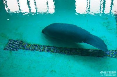 好听的水族馆名字大全（水族馆名字大全） 水族馆百科（水族馆加盟） 第5张