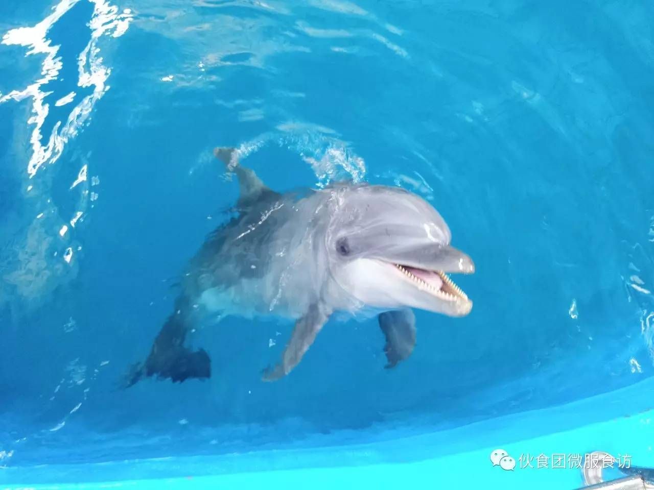 好听的水族馆名字大全（水族馆名字大全） 水族馆百科（水族馆加盟） 第4张