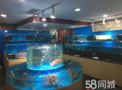 水族馆鱼缸制作视频（原来美观的水族馆鱼缸是这样一步步制作出来的） 水族馆百科（水族馆加盟） 第5张