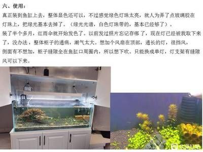 鱼缸百度贴吧（鱼缸百度贴吧是一个专注于鱼缸交流平台的交流平台） 鱼缸百科 第4张