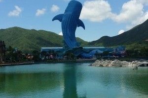 长隆有水族馆吗（探索长隆海洋王国的水族馆） 水族馆百科（水族馆加盟） 第1张