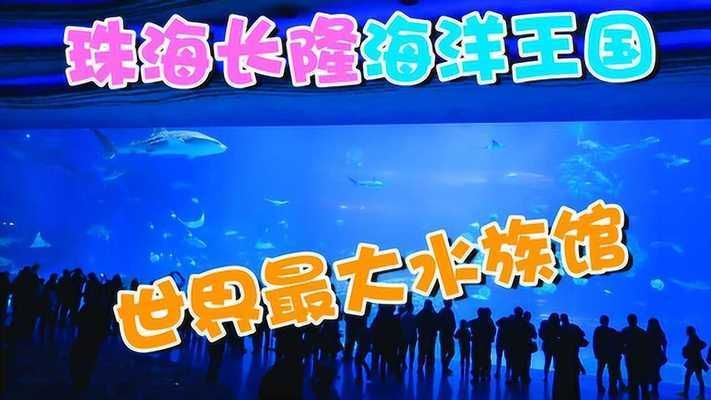 长隆有水族馆吗（探索长隆海洋王国的水族馆） 水族馆百科（水族馆加盟） 第2张