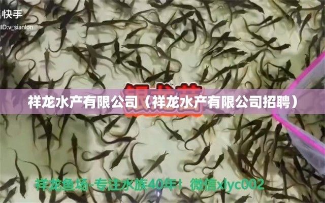 祥龙鱼场有限公司招聘（祥龙鱼场有限公司招聘信息） 水族馆百科（水族馆加盟） 第4张