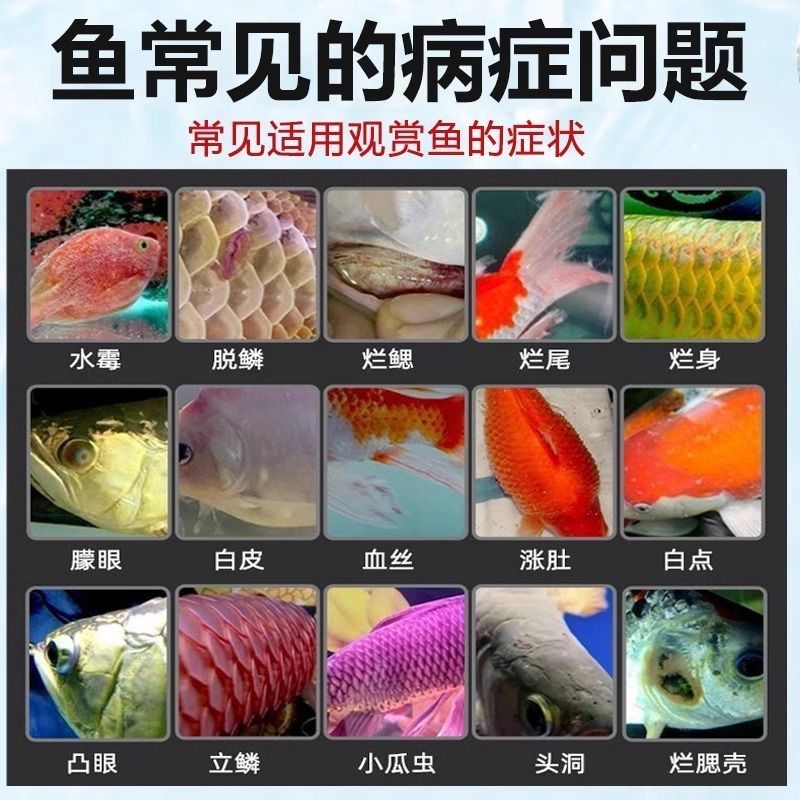 龙鱼掉眼手术视频（如何判断龙鱼掉眼手术是否成功） 水族问答 第1张