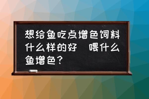 金龙鱼养殖技术视频（金龙鱼养殖技术视频提供了详细的指导，视频内容实用） 水族问答 第2张