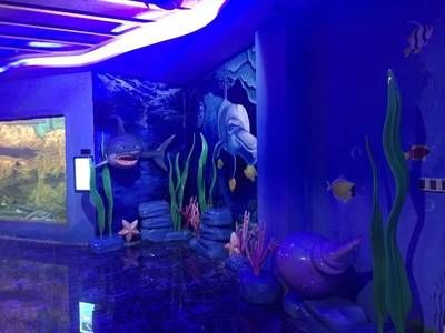 水族馆设施（水族馆的设施设计与建造） 水族馆百科（水族馆加盟） 第5张