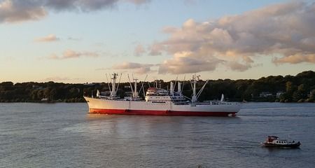 杭州水族批发市场（杭州最大水族批发市场） 全国观赏鱼市场 第2张