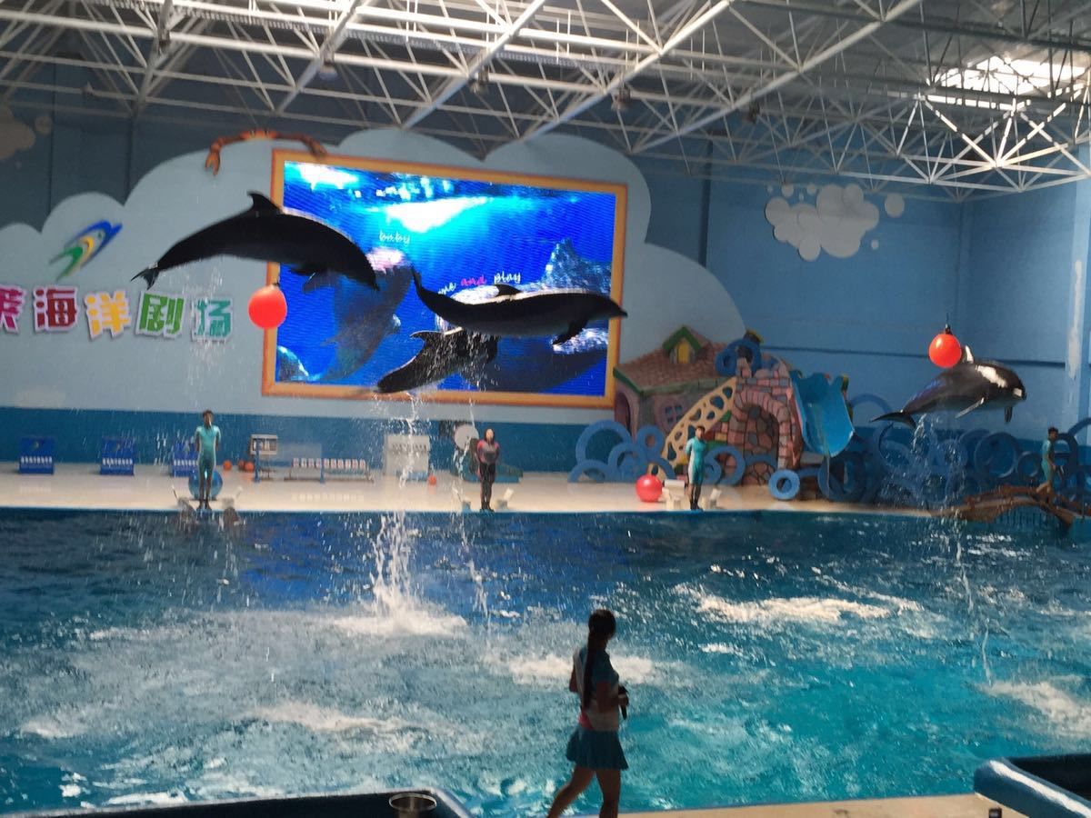 水族馆有什么好玩的（水族馆亲子互动项目介绍） 水族馆百科（水族馆加盟） 第3张